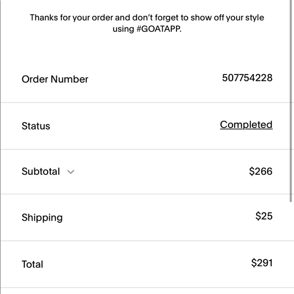 Concord Sketch Jordan 11s 🐬 - Picture 3 of 4